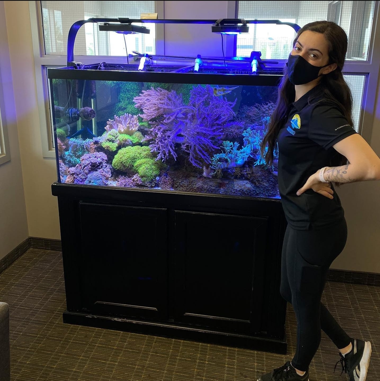 Huge Corals in Clients Aquarium