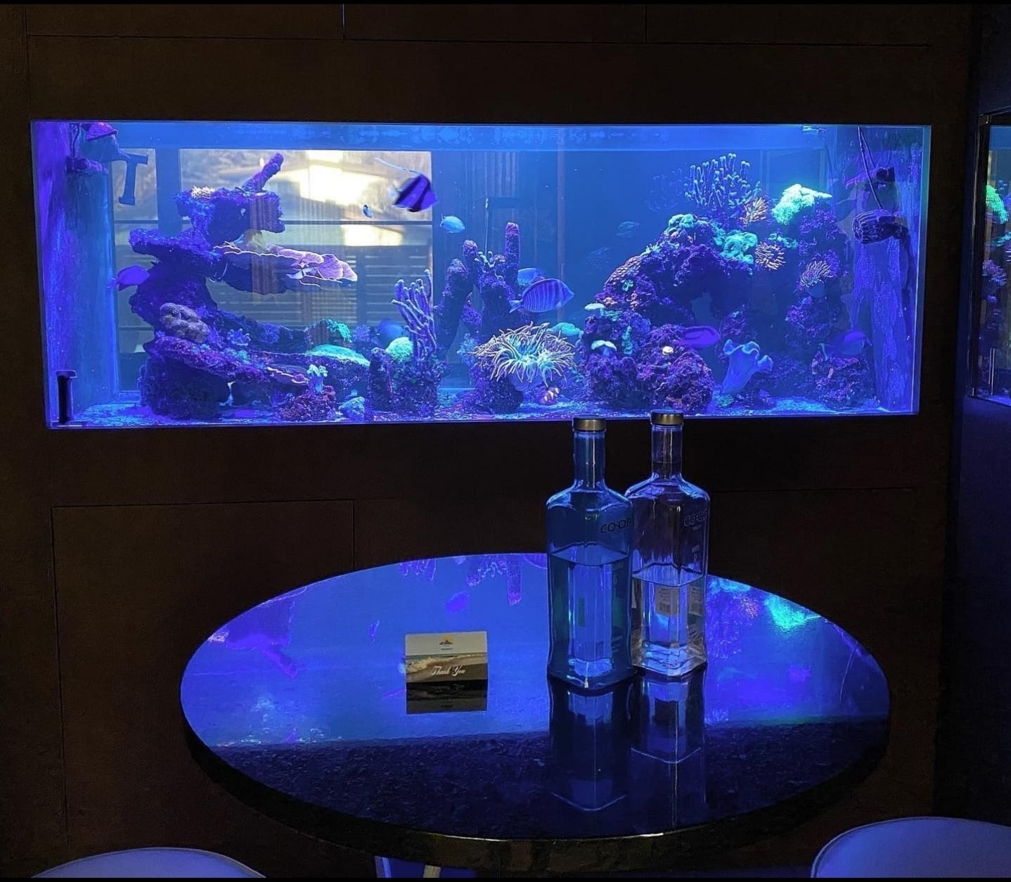Client Aquarium Lounge