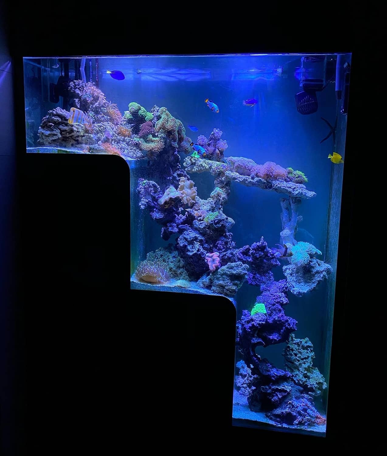 Beautiful Double Drop Aquarium