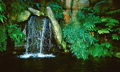 Beautiful Waterfall Style Vivarium