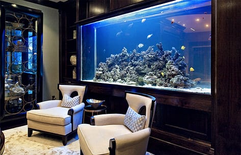 Beautiful Residential Fish Tank