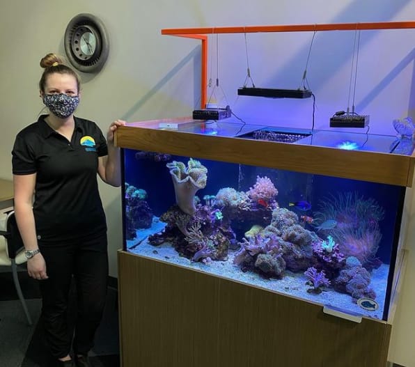 Employee Cleaning Fish Tank